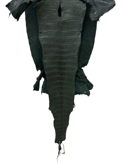38 cm Grade 1/2 Forest Green Matte Wild American Alligator Leather - Tag: LA23-0006511