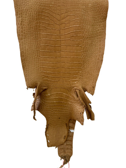 41 cm Grade 3/4 Antique Saddle Matte Wild American Alligator Leather - Tag: LA24-0022799