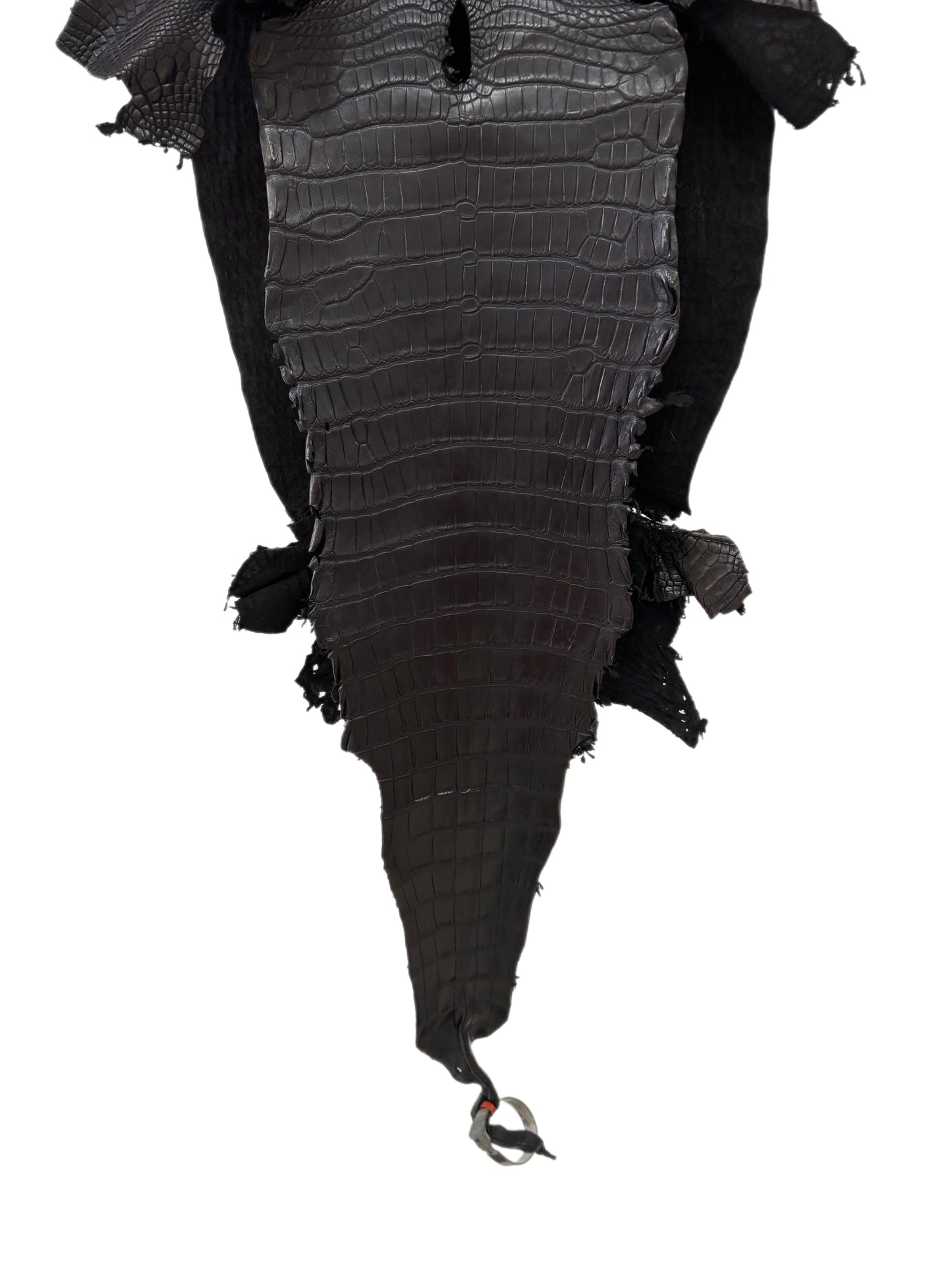 31 cm Grade 2/3 Black Matte Farm-Raised American Alligator Leather - Tag: LA23-0531987