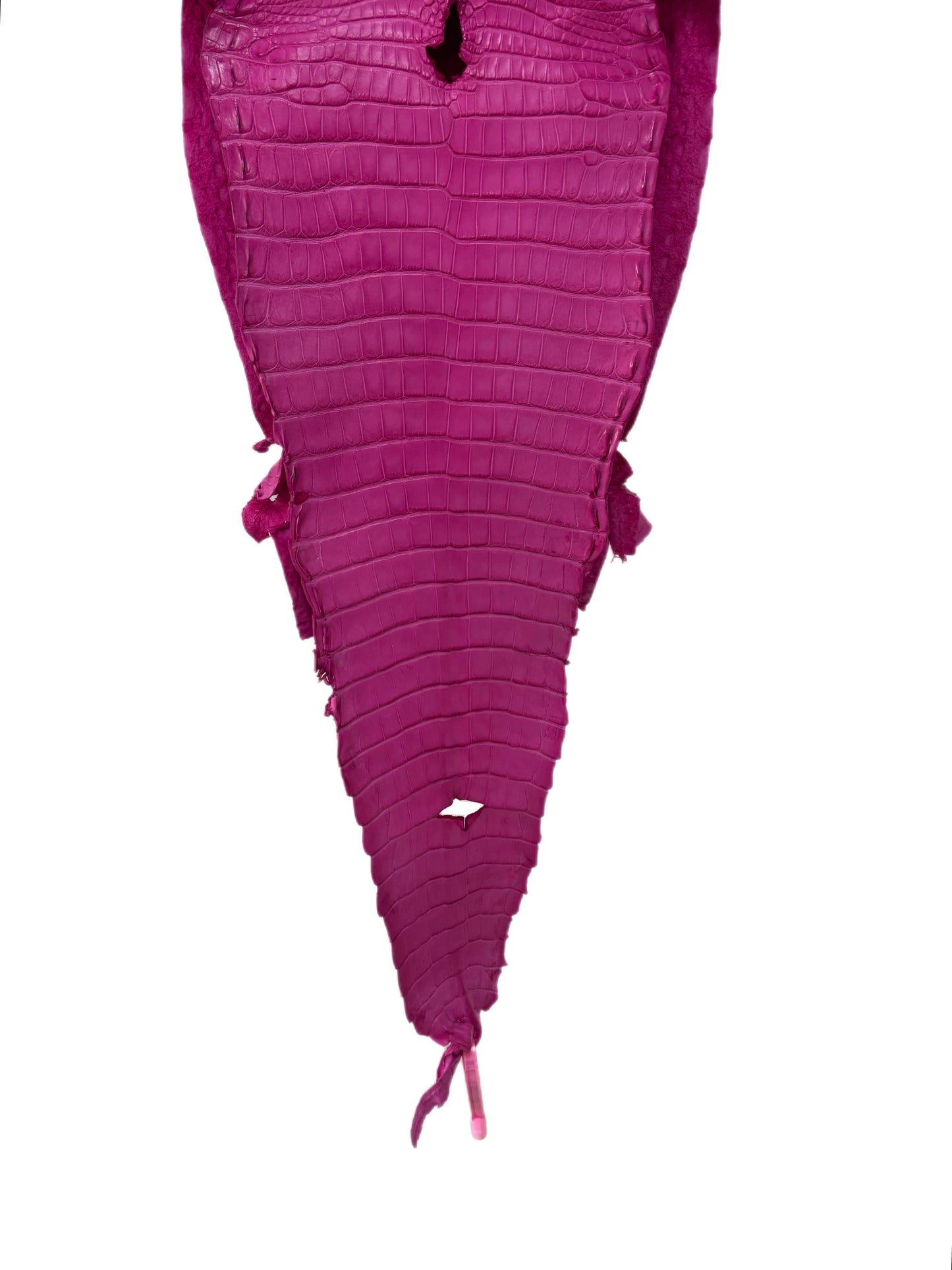 31 cm Grade 1/2 Rosa Matte Farm-Raised American Alligator Leather - Tag: FL21-0024005
