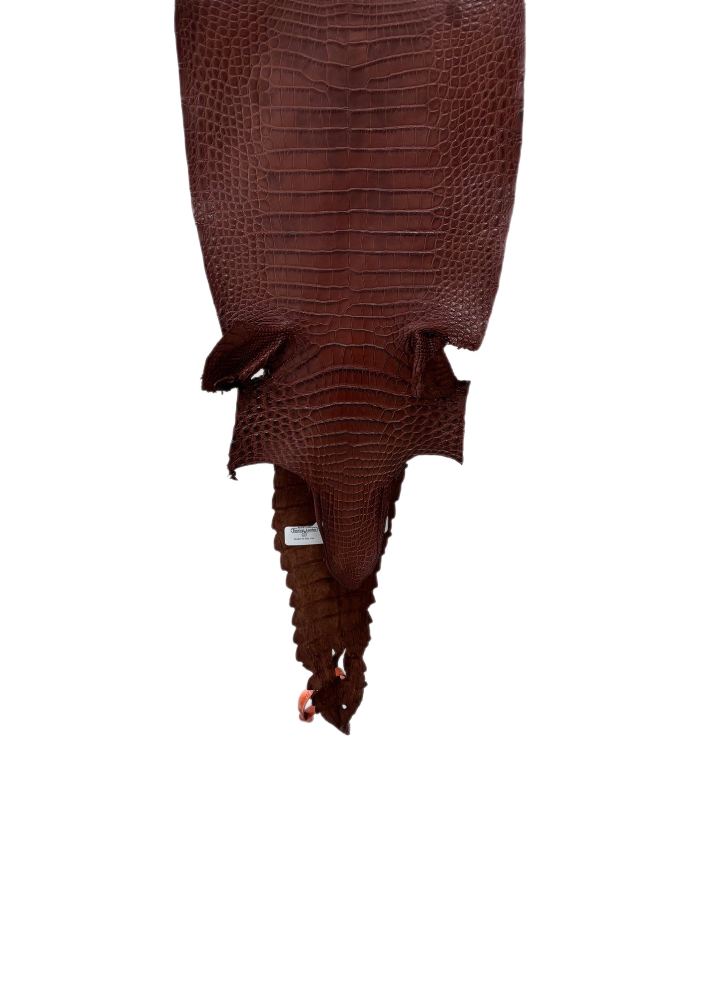 25 cm Grade 2/3 Italian Gold Matte Farm-Raised American Alligator Leather - Tag: FL21-0024666