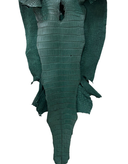 49 cm Grade 3/4 Filigrana Matte Wild American Alligator Leather - Tag: LA25-0019685