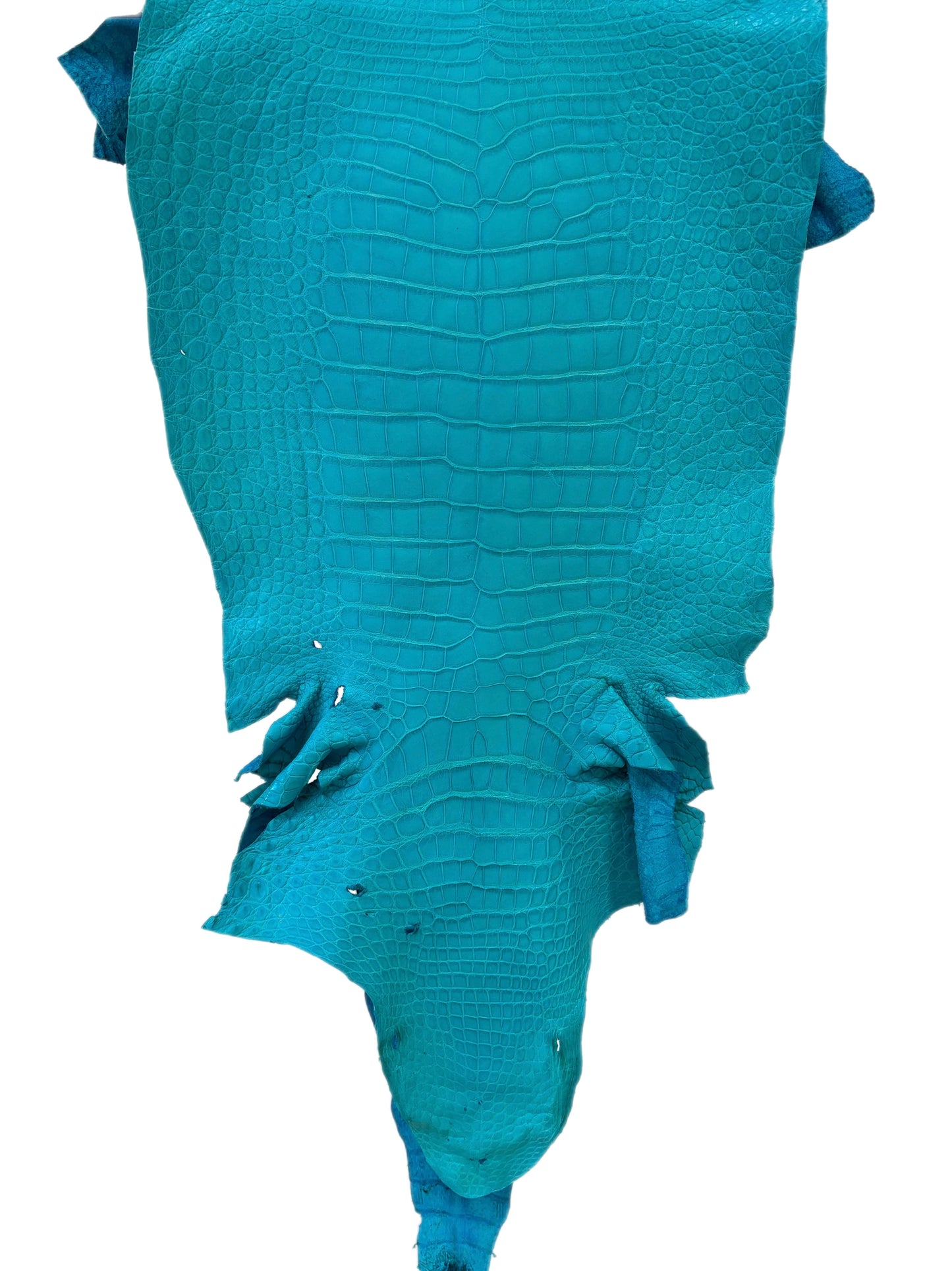 44 cm Grade 3/4 Turquoise Matte Wild American Alligator Leather - Tag: LA23-0022758