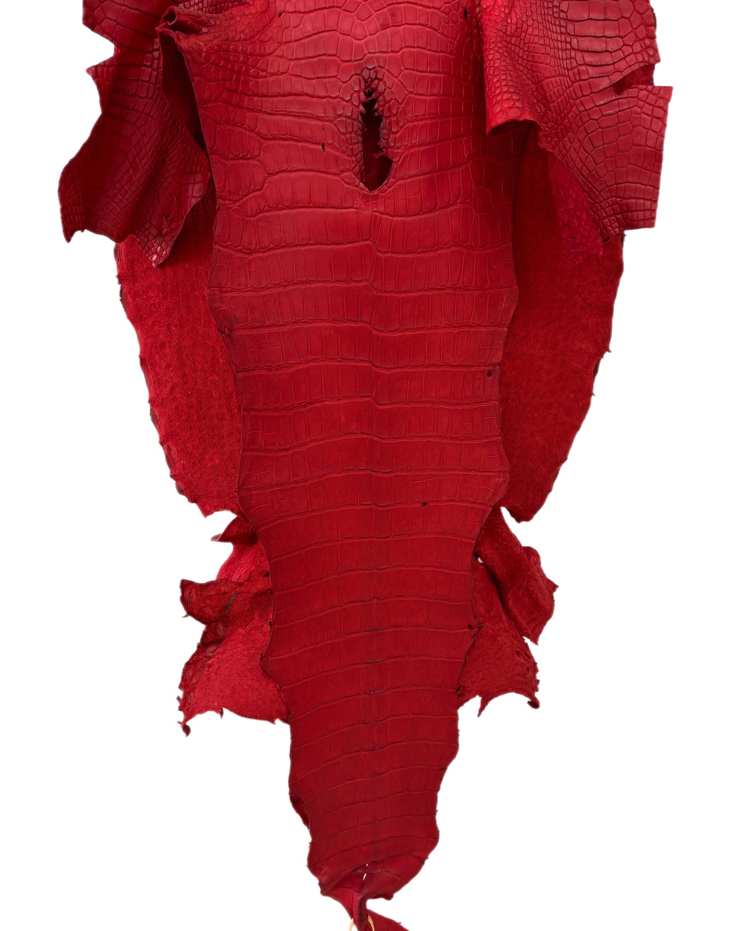 50 cm Grade 3/4 Candy Apple Red Matte Wild American Alligator Leather - Tag: LA22-0021542