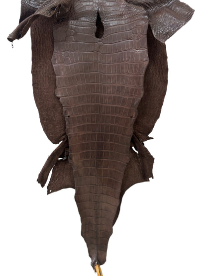 44 cm Grade 2/3 Chocolate Matte Wild American Alligator Leather - Tag: LA23-0015378