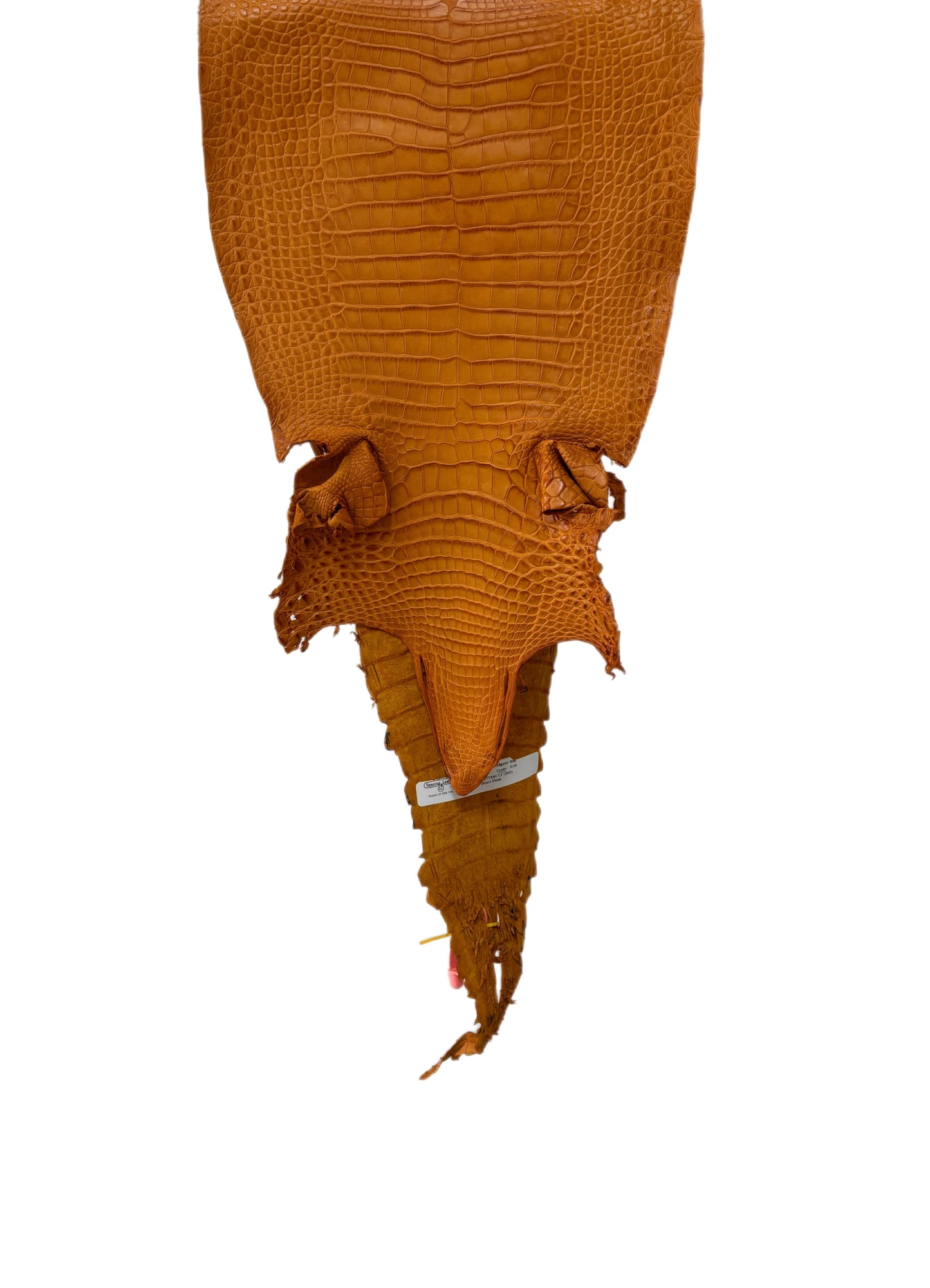 27 cm Grade 2/3 Buttercup Matte Farm-Raised American Alligator Leather - Tag: FL21-0024494