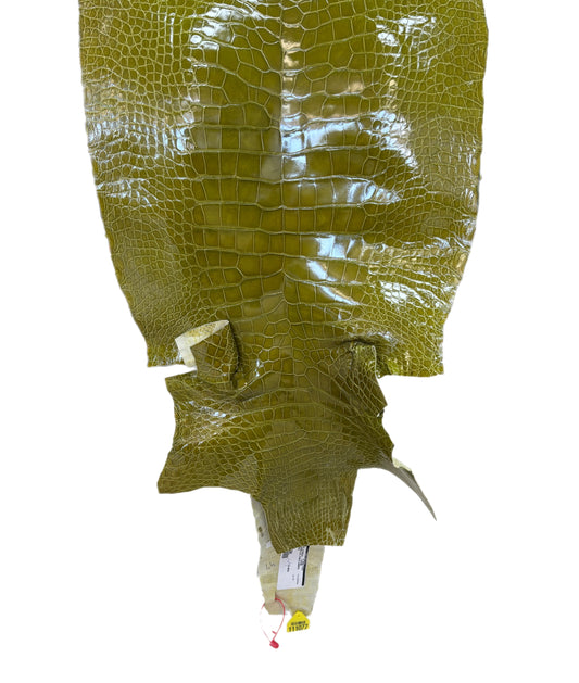 CLOSEOUT | 44 cm Grade 2/3 Muguet Glazed Wild American Alligator Leather - Tag: CCIT-0539934