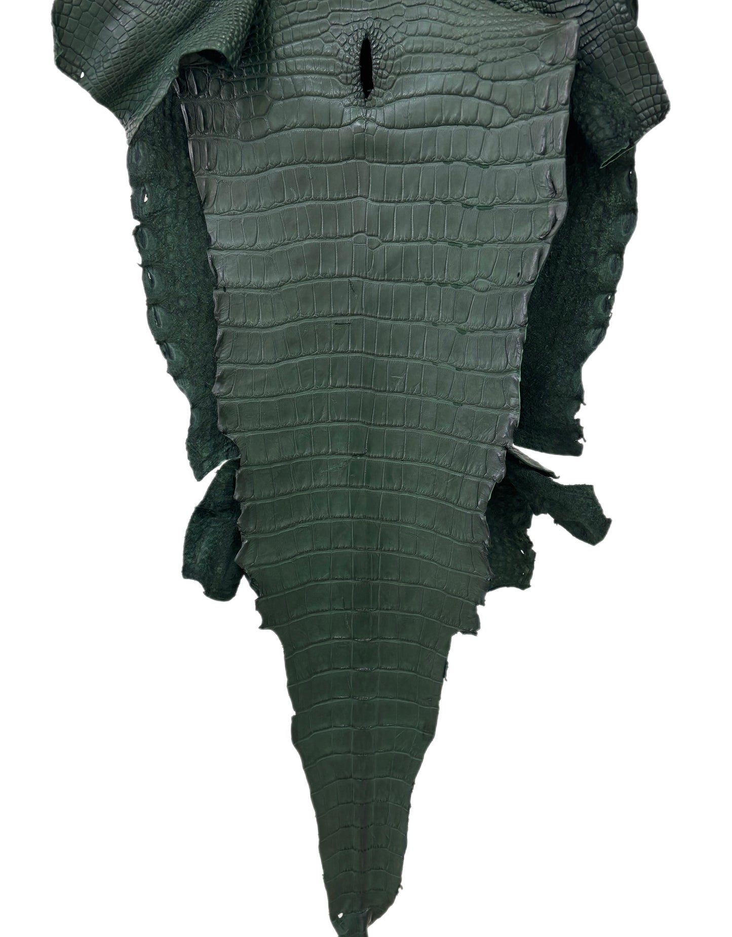 33 cm Grade 2/3 Forest Green Matte Wild American Alligator Leather - Tag: LA23-0049956