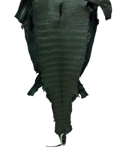 36 cm Grade 2/3 Forest Green Matte Wild American Alligator Leather - Tag: LA23-0048161