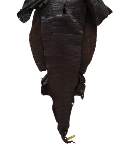 36 cm Grade 2/3 Kralle Brown Matte Wild American Alligator Leather - Tag: LA23-0050042