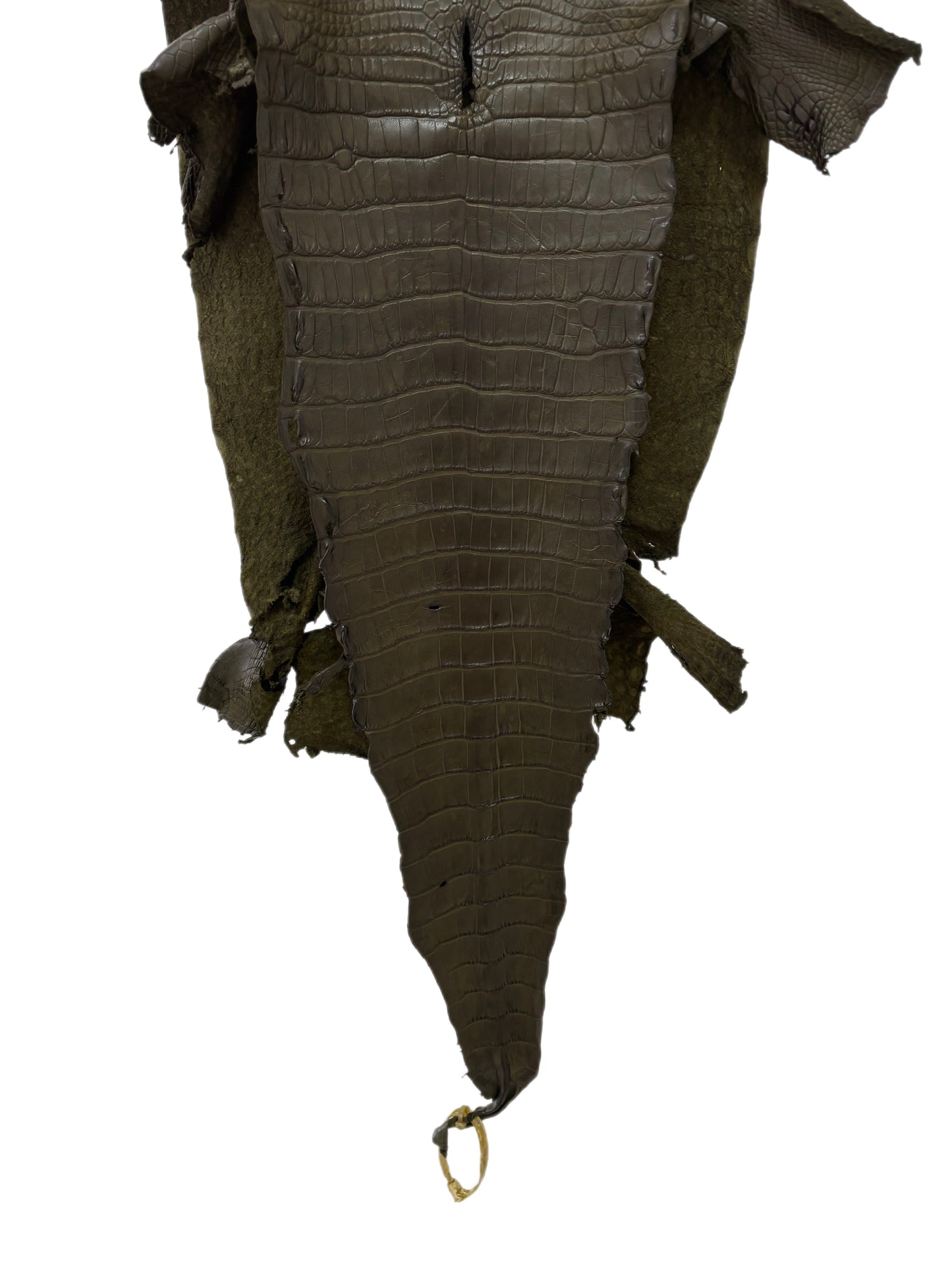 37 cm Grade 2/3 Olive Matte Wild American Alligator Leather - Tag: LA23-0050871