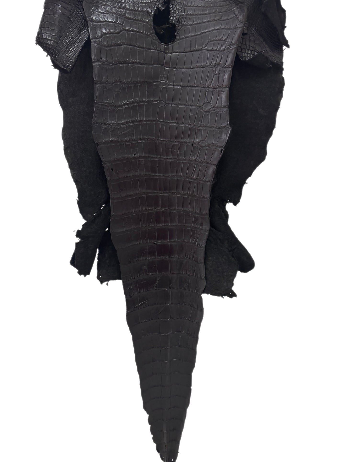 40 cm Grade 2/3 Black Matte Wild American Alligator Leather - Tag: LA23-0017585