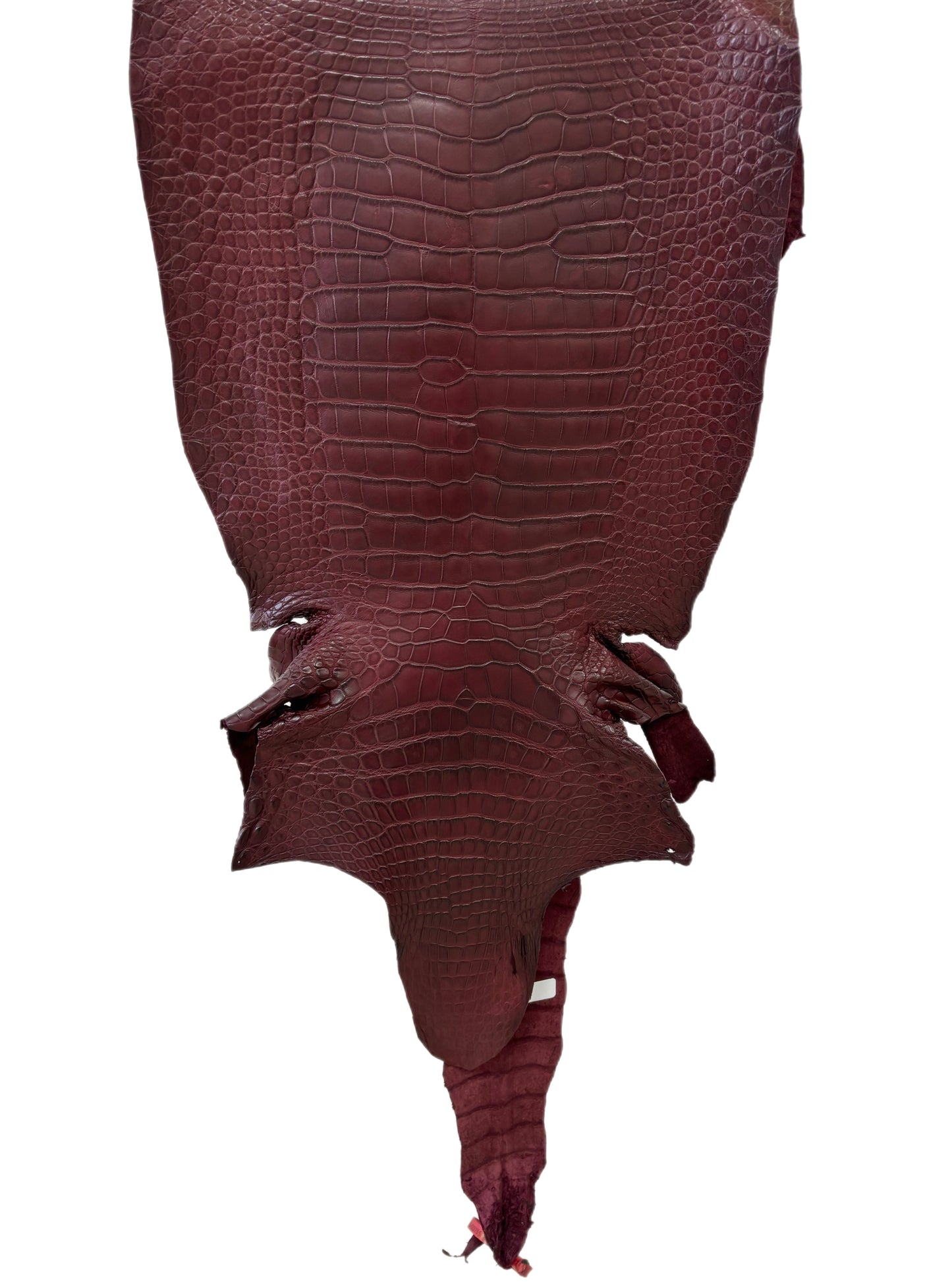 40 cm Grade 2/3 Bordeaux Matte Wild American Alligator Leather - Tag: LA23-0022755