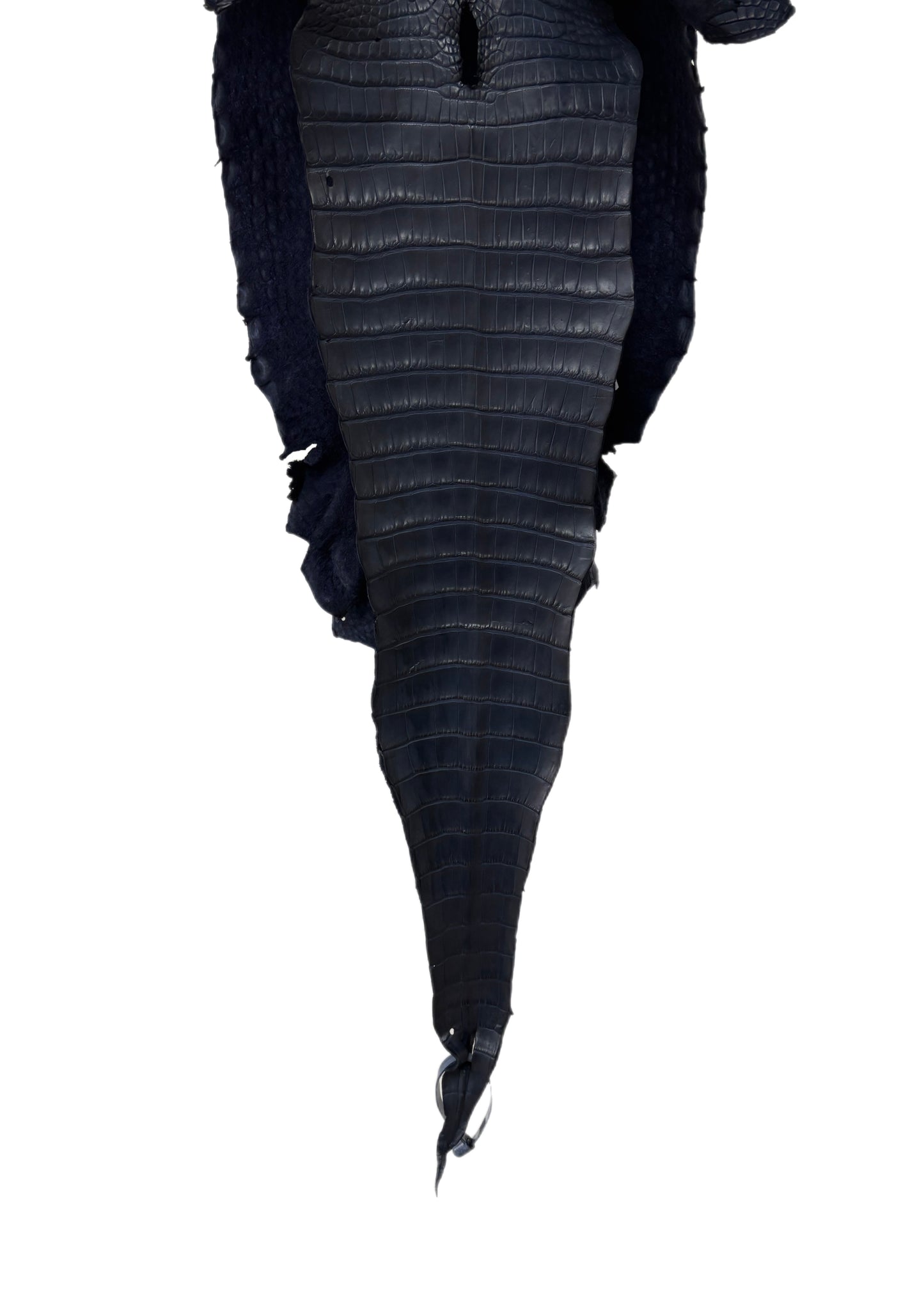 31 cm Grade 3/4 Navy Blue Matte Farm-Raised American Alligator Leather - Tag: FL17-0035550