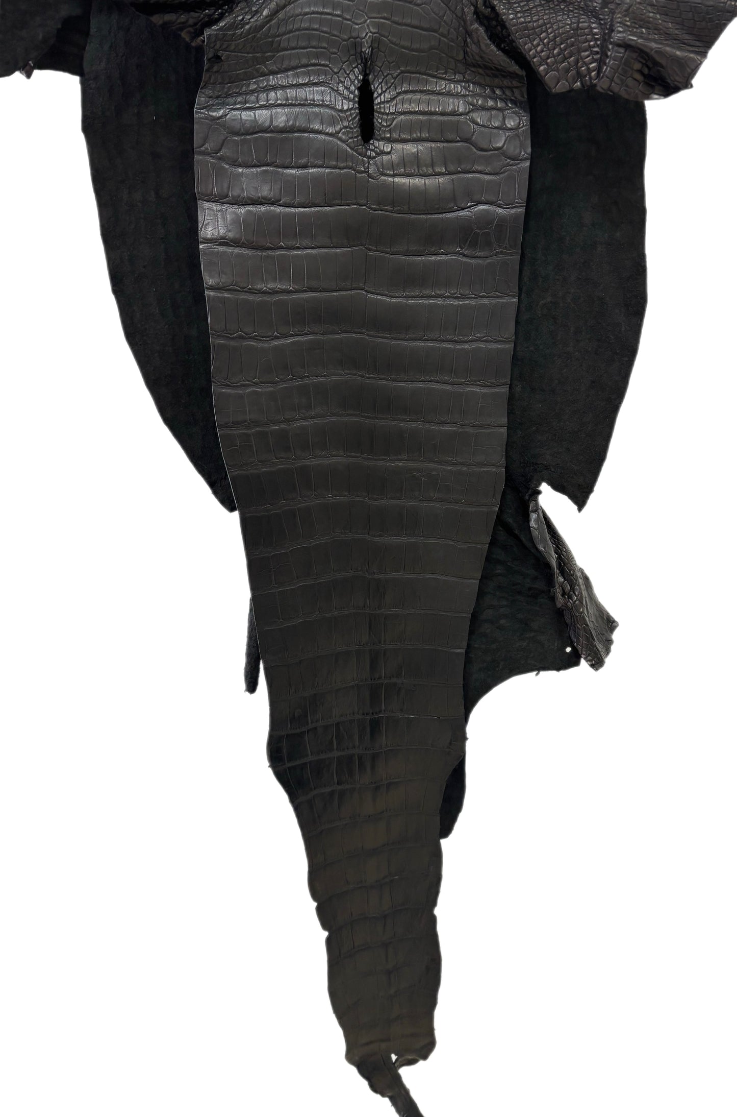 40 cm Grade 1/2 Black Matte Wild American Alligator Leather - Tag: LA22-0020303