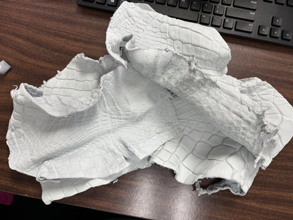 Genuine Crust Alligator Leather Scraps per Pound