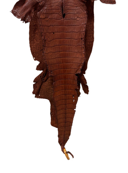 30 cm Grade 3/4 Rustic Cognac Matte Wild American Alligator Leather - Tag: LA23-0022661