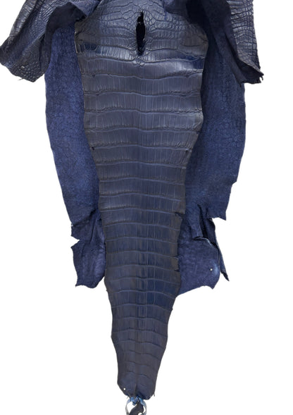 37 cm Grade 2/3 Navy Blue Desert Wild American Alligator Leather - Tag: LA23-0021486