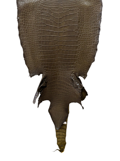 48 cm Grade 4/5 Olive Matte Wild American Alligator Leather - Tag: LA22-0004520