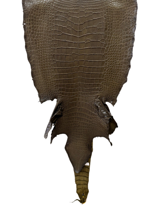48 cm Grade 4/5 Olive Matte Wild American Alligator Leather - Tag: LA22-0004520