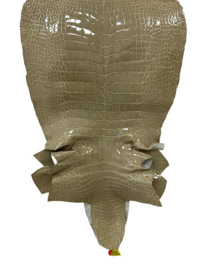 42 cm Grade 4/5 Ash Glazed Wild American Alligator Leather - Tag: ITCC-0539969