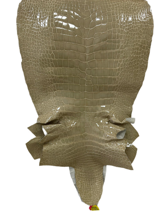 42 cm Grade 4/5 Ash Glazed Wild American Alligator Leather - Tag: ITCC-0539969