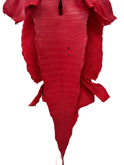 44 cm Grade 3/4 Candy Apple Red Matte Wild American Alligator Leather - Tag: LA23-0007785