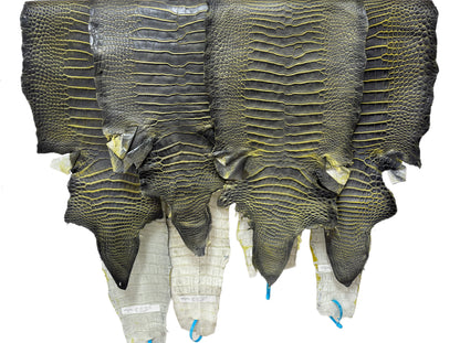 33-37 cm Grade 2/3 Voltage Matte American Alligator Leather | Closeout Deal