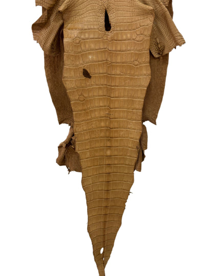 41 cm Grade 2/3 Antique Saddle Matte Wild American Alligator Leather - Tag: LA16-0035541