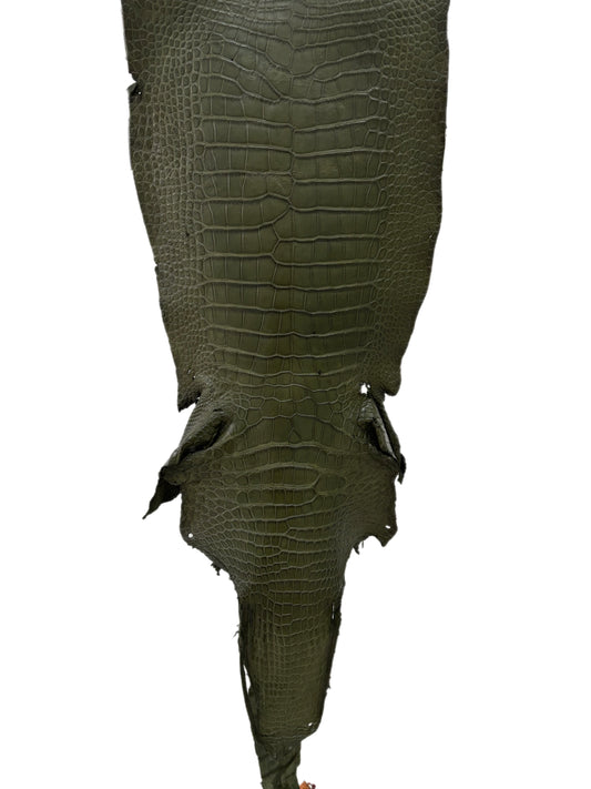 33 cm Grade 2/3 Olive Matte Wild American Alligator Leather - Tag: MS24-0000653