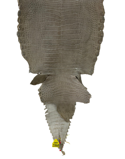 37 cm Grade 1/2 Taupe Classic Farm American Alligator Leather - Tag: ITCC-0539913