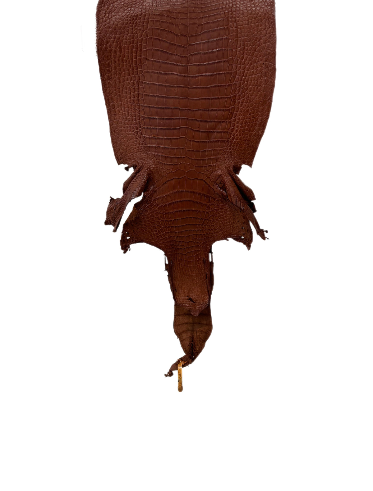 33 cm Grade 3/4 Rustic Cognac Matte Wild American Alligator Leather - Tag: LA23-0050921