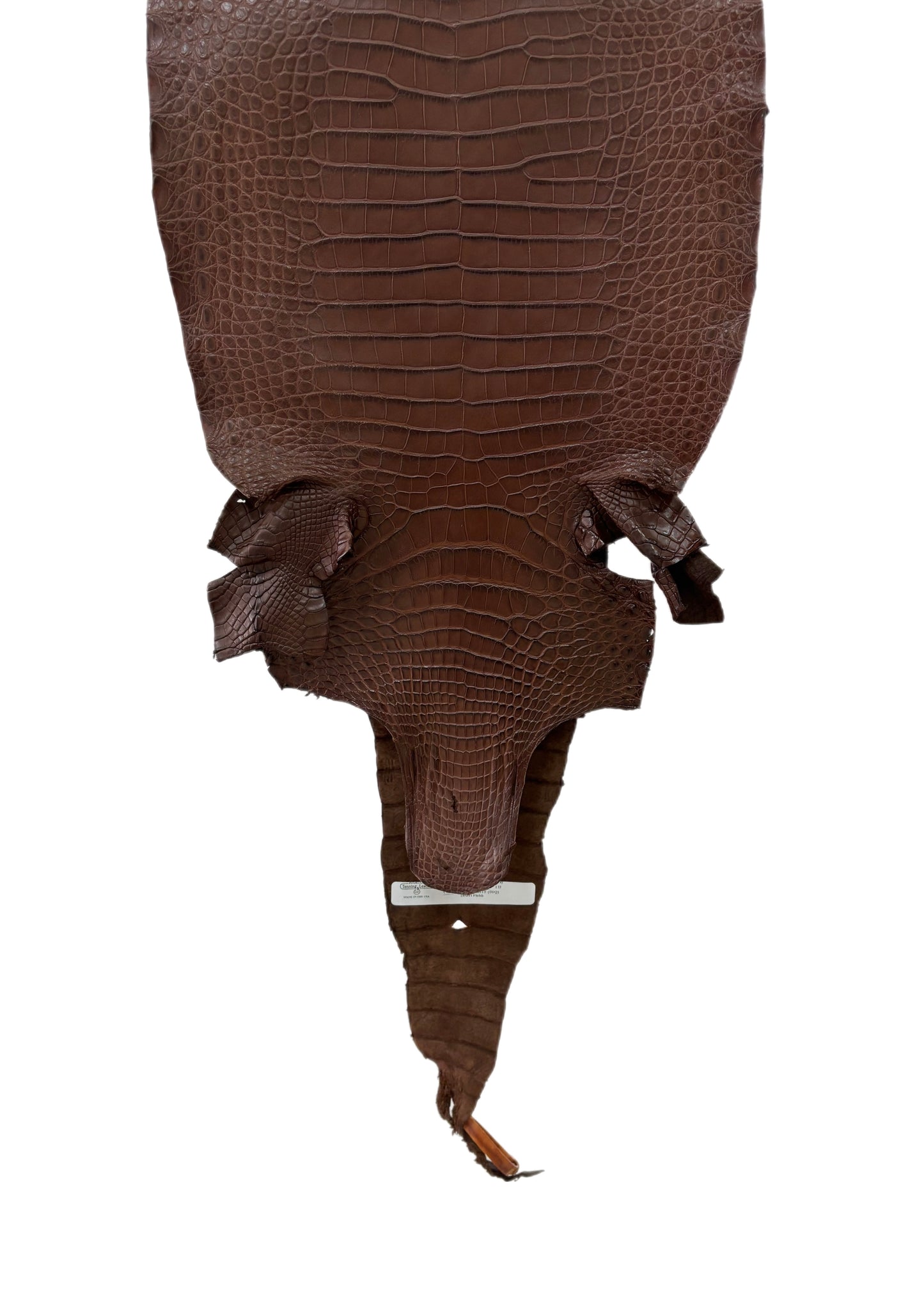 34 cm Grade 1/2 Chocolate Matte Farm-Raised American Alligator Leather - Tag: FL17-0036860