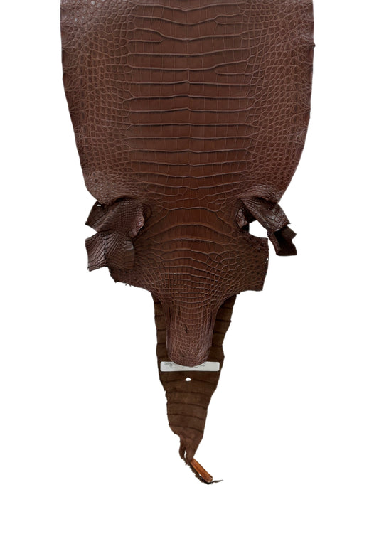 34 cm Grade 1/2 Chocolate Matte Farm-Raised American Alligator Leather - Tag: FL17-0036860