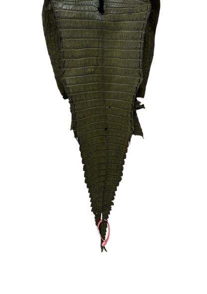 28 cm Grade 2/3 Olive Matte Farm-Raised American Alligator Leather - Tag: FL21-0024530