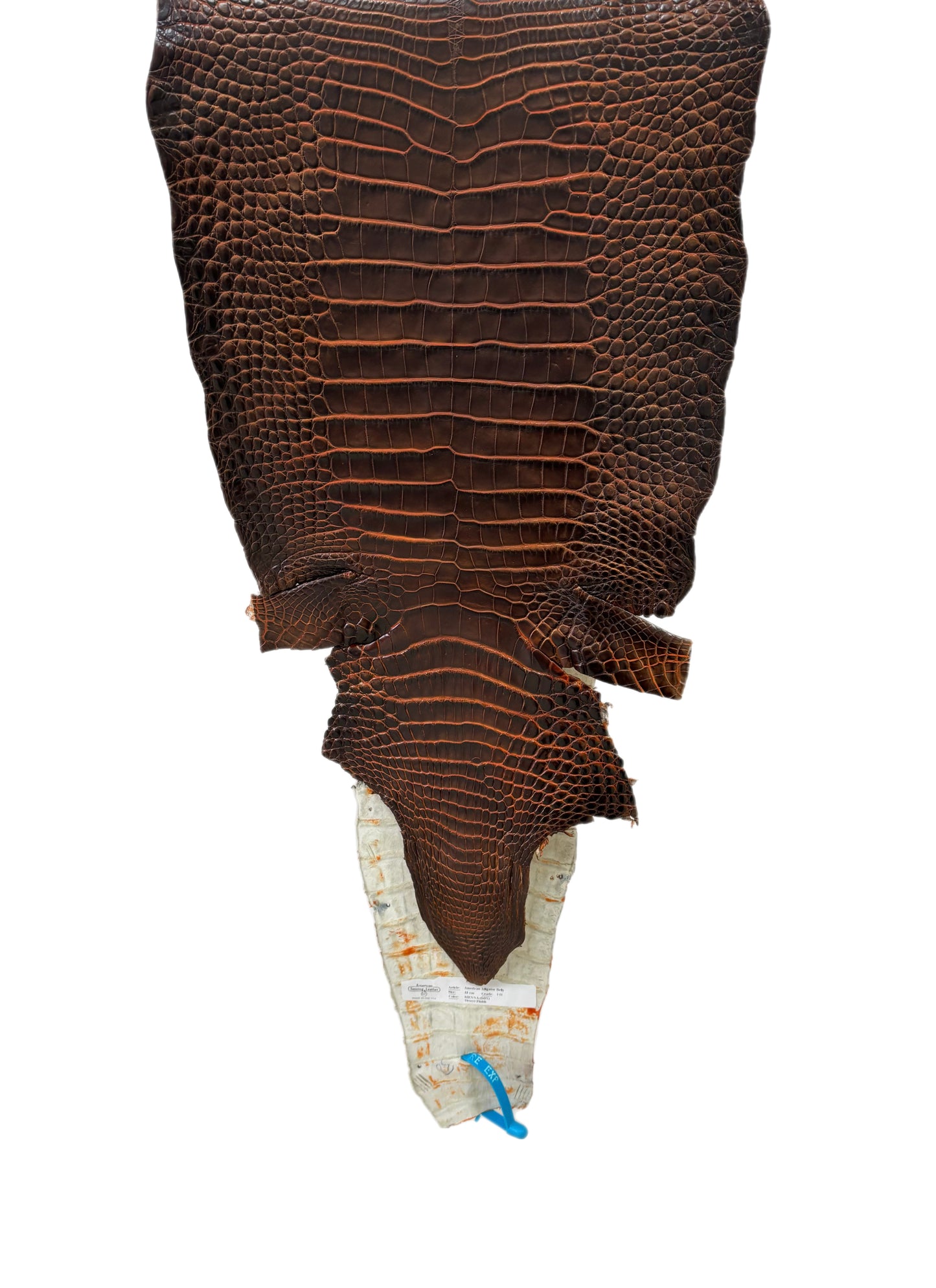 33 cm Grade 1/2 Sienna Matte Wild American Alligator Leather - Tag: ESRE-0033699