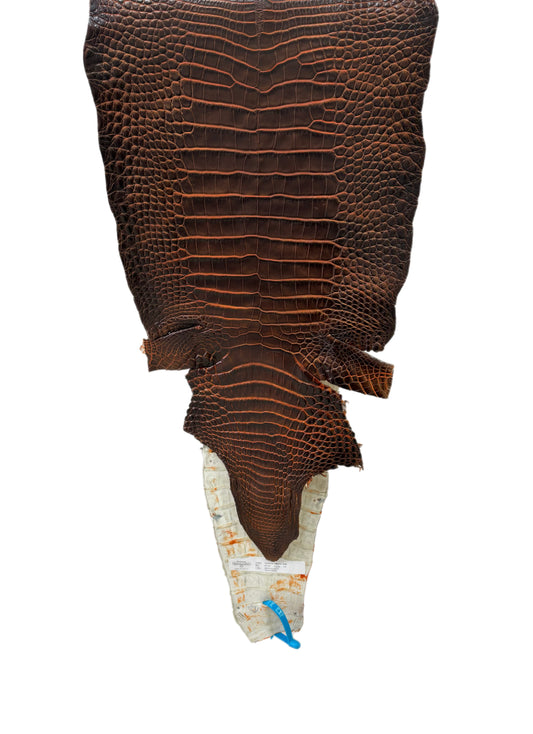 33 cm Grade 1/2 Sienna Matte Wild American Alligator Leather - Tag: ESRE-0033699