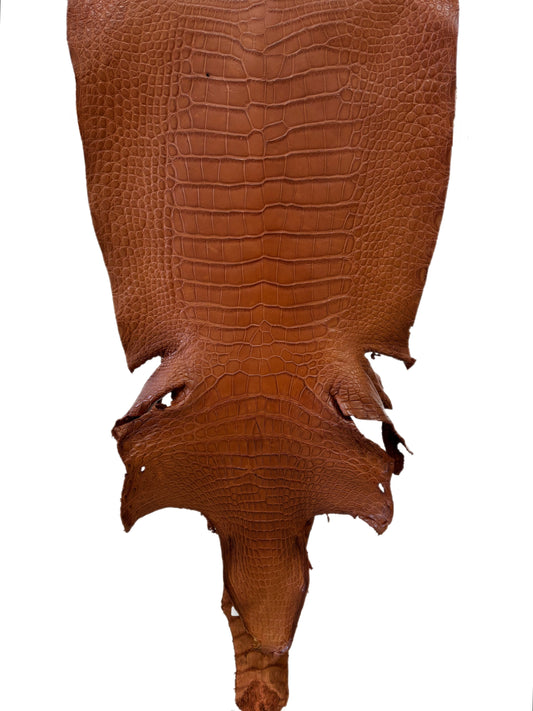 43 cm Grade 2/3 Cognac Matte Wild American Alligator Leather - Tag: LA24-0039978