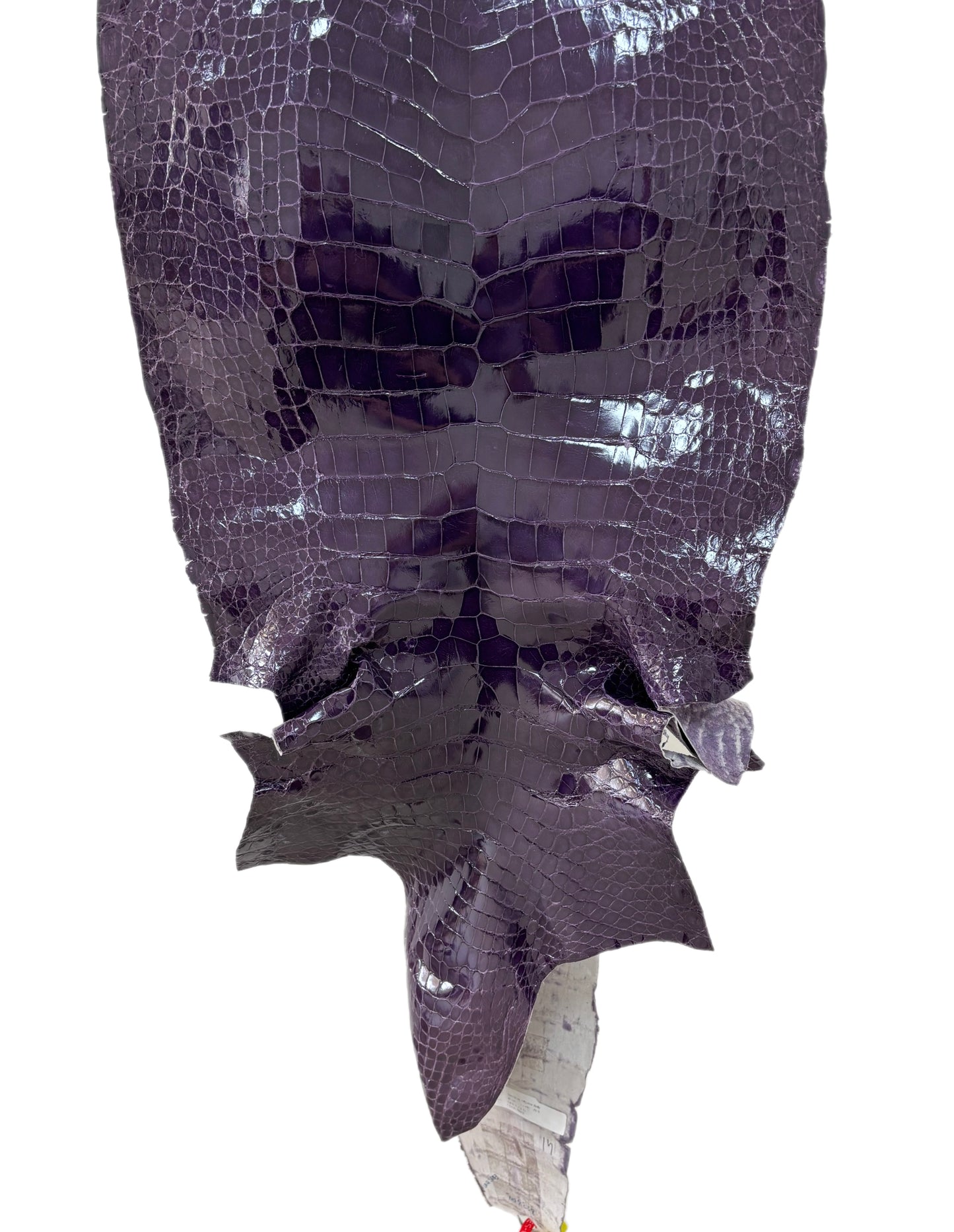 41 cm Grade 4/5 Viola Glazed Wild American Alligator Leather - Tag: ITCC-0539980