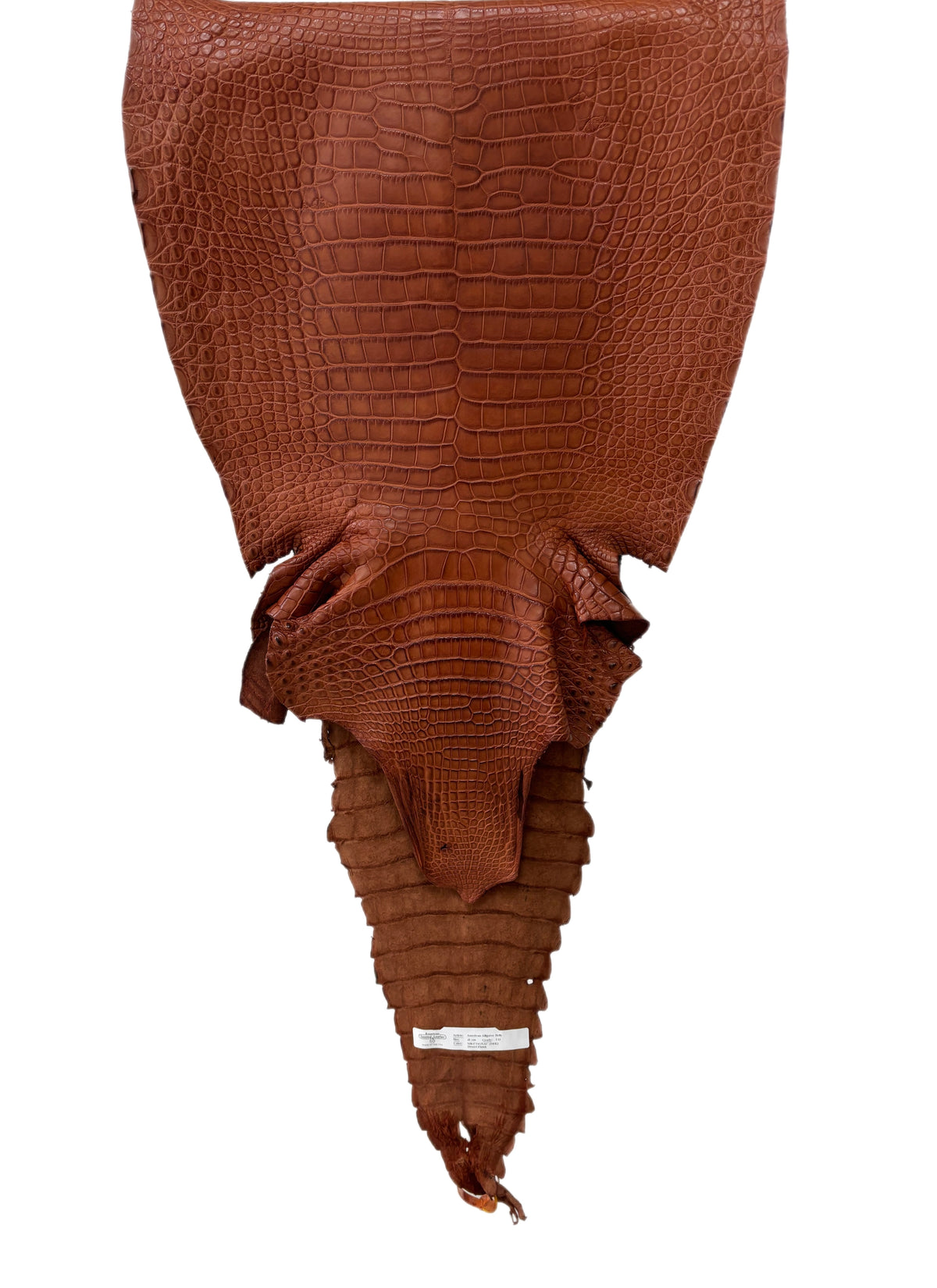 41 cm Grade 1/2 Rustic Cognac Desert Farm-Raised American Alligator Leather - Tag: LA18-0266680