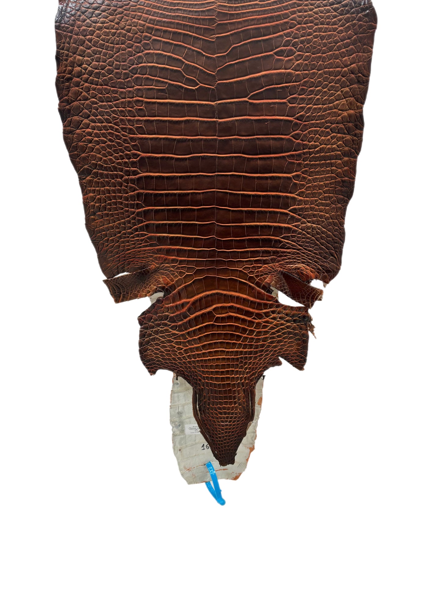 36 cm Grade 1/2 Sienna Matte Wild American Alligator Leather - Tag: ESRE-0050802