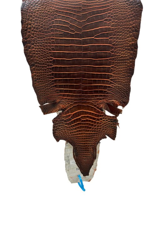 36 cm Grade 1/2 Sienna Matte Wild American Alligator Leather - Tag: ESRE-0050802