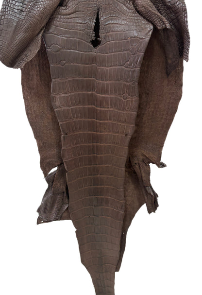 42 cm Grade 2/3 Chocolate Matte Wild American Alligator Leather - Tag: LA23-0028013