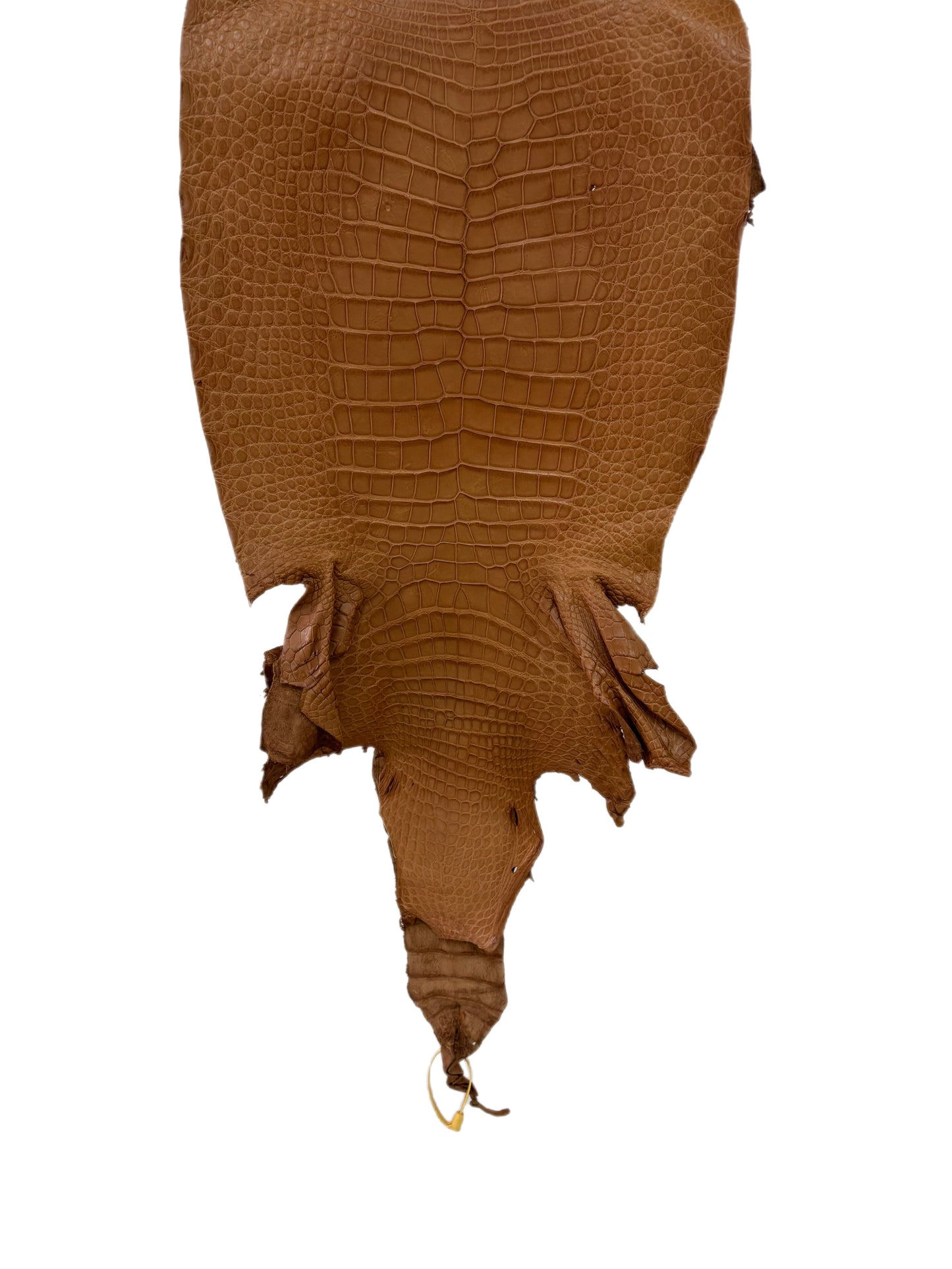 39 cm Grade 3/4 Almond Matte Wild American Alligator Leather - Tag: LA23-0027059