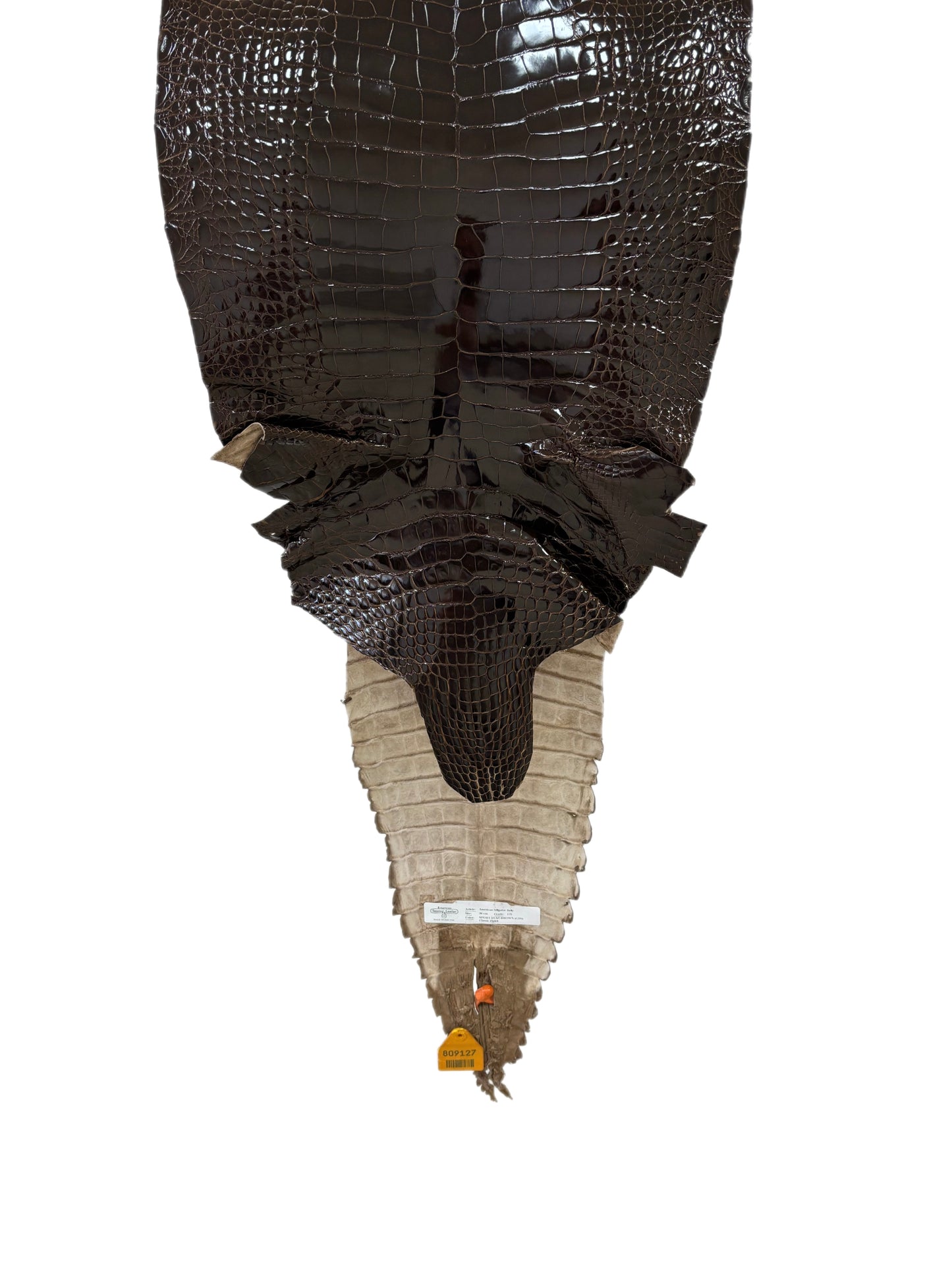 36 cm Grade 1/2 Sport Rust Brown Glazed Farm-Raised American Alligator Leather - Tag: GA14-0023414
