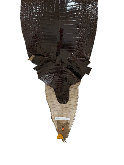 36 cm Grade 1/2 Sport Rust Brown Glazed Farm-Raised American Alligator Leather - Tag: GA14-0023414