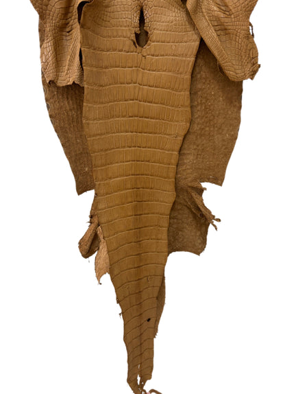 45 cm Grade 3/4 Antique Saddle Matte Wild American Alligator Leather - Tag: LA24-0022927