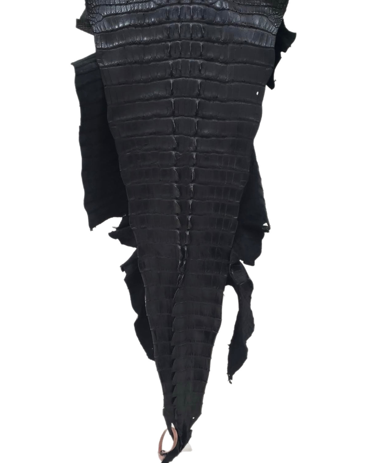 50 cm Grade 2/3 Black Matte American Alligator Hornback Leather - Tag: FL14-0030214