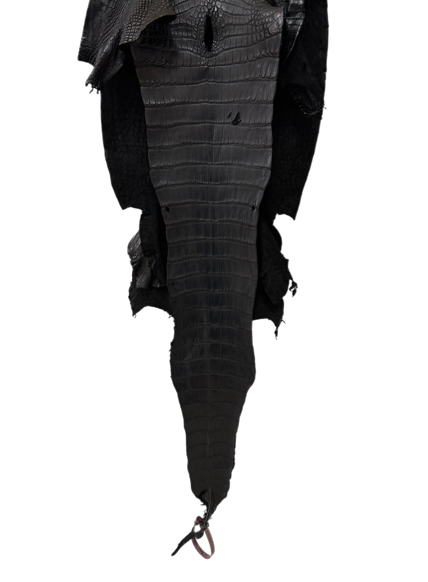 32 cm Grade 2/3 Black Matte Wild American Alligator Leather - Tag: FL24-0077657