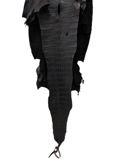 32 cm Grade 2/3 Black Matte Wild American Alligator Leather - Tag: FL24-0077657